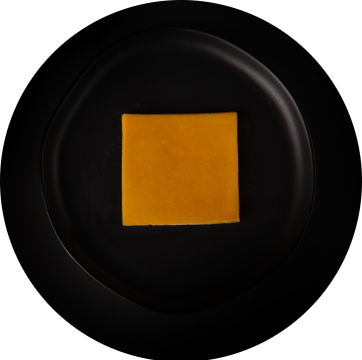 A black and yellow square in the middle of a circle.